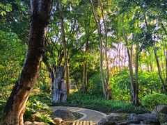 -深圳国际园林花卉博览园