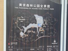 -黄贤森林公园
