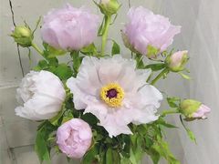 -常州富力喜来登酒店 Feast盛宴标帜西餐厅(新北万达广场店)