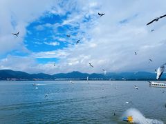 -海埂大坝