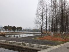 -尚贤河湿地