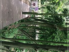 -缙云山景区