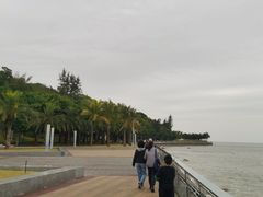 -野狸岛