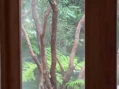 -Chom Cafe and Restaurant