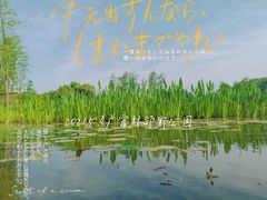 -广富林郊野公园