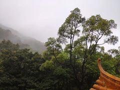 -广州市帽峰山景区
