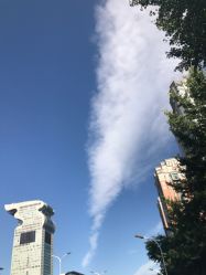 -奈瑞儿美颜塑身SPA