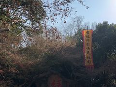 -杭州黄龙洞