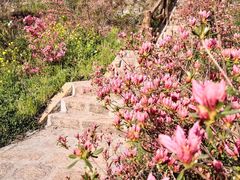 -西泰山风景区
