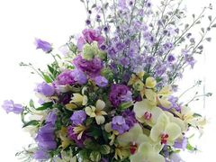 -金陵之星大酒店·中餐厅