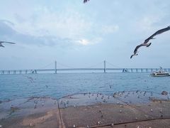 -星海广场