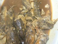 -悦香园鲜椒鸡(海阳店)