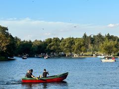 -上海共青森林公园