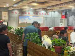 -九府羊鲜羊火锅·烧烤(任丘东风美食街店)