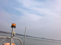 -合肥滨湖国家森林公园