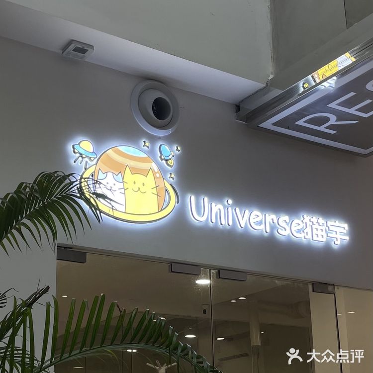 Universe猫宇 | 天河靠谱猫舍‼️