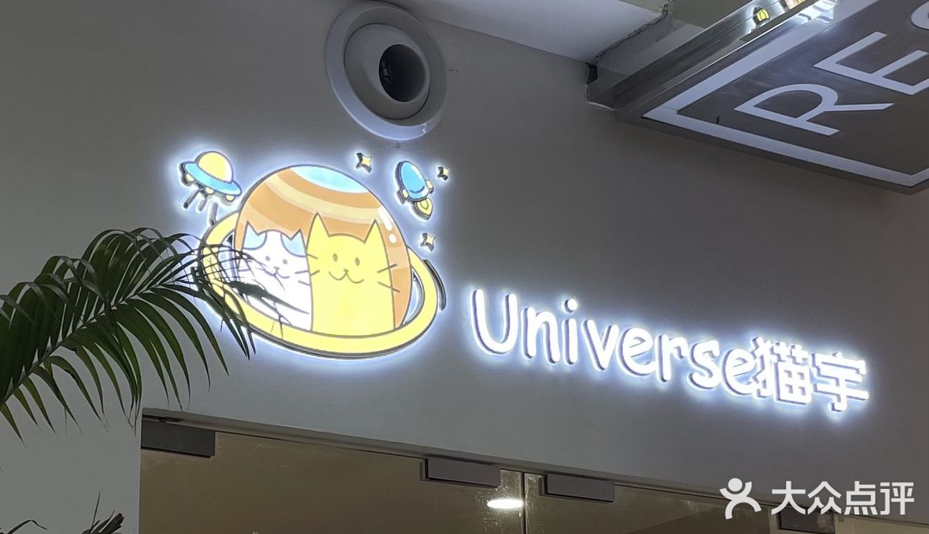 Universe猫宇 | 天河靠谱猫舍‼️