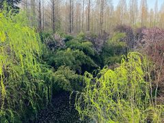 -洛阳市隋唐城遗址植物园
