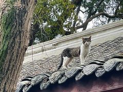 -成都杜甫草堂博物馆