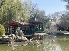 -宣武艺园