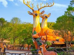 -南京银杏湖乐园