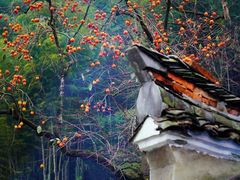 -丹山赤水风景名胜区