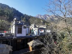 -老张烤羊(王哥庄店)