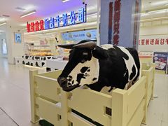 -红星前进面包牛奶公司(君太店)