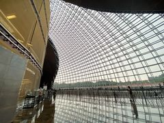 -国家大剧院