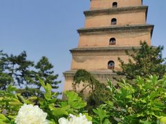 -大慈恩寺(大雁塔)