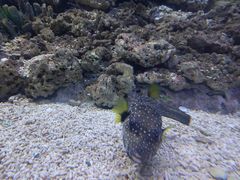 -常州海昌海洋探索馆