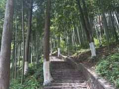 -莫干山风景区