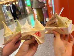 -野人先生现做冰淇淋(北京王府井东方新天地店)