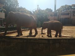 -昆明动物园