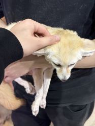 -Zoolung Zoolung动物主题公园(海信广场店)