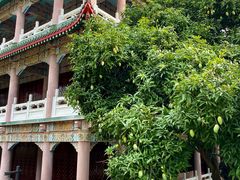 -广东圆玄道观