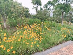 -上海滴水湖皇冠假日酒店