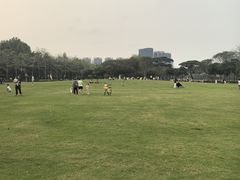 -顺峰山公园