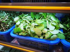 -老味道1992(武当山店)