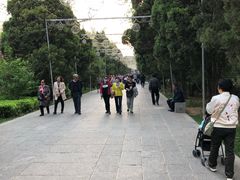 -迎泽公园