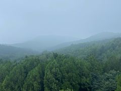 -阳台山自然风景区