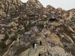 -北京凤凰岭