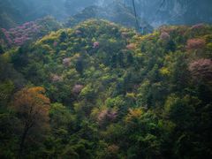 -秦岭天竺山景区