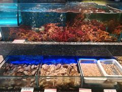 水产区-乾隆美食·本帮菜(黄河路店)