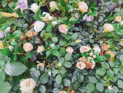 -摩瘦纤体订制减肥