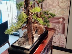 -顺峰(农展馆店)