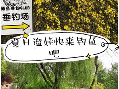 -酷鱼垂钓CLUB(朝阳区博大路店 )