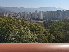 -金鸡山公园