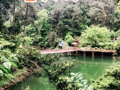 -南山植物园