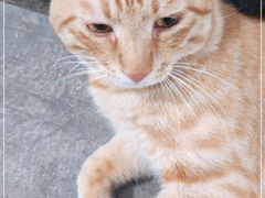 -兄弟大灶台(原纺渭路店)